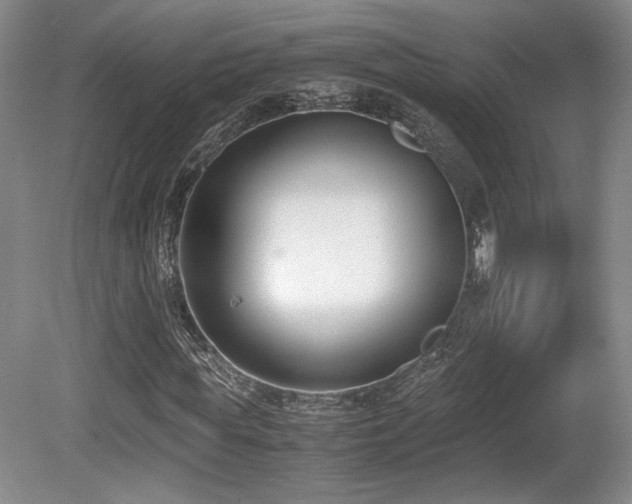 X0000080780819200612151426