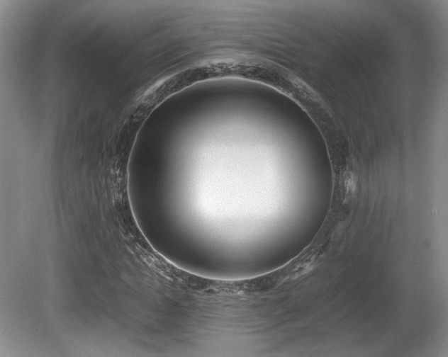 X0000080780822200612151426