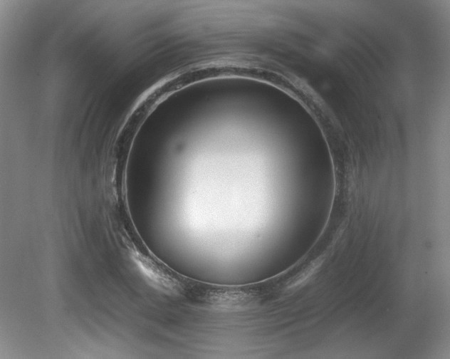 X0000080780830200612151426
