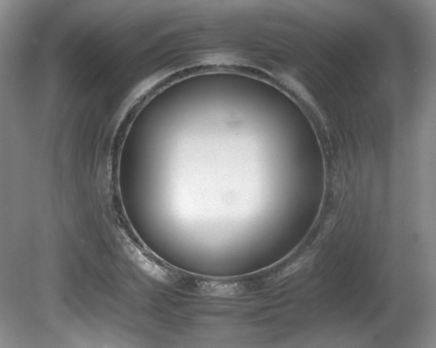 X0000080780831200612151426