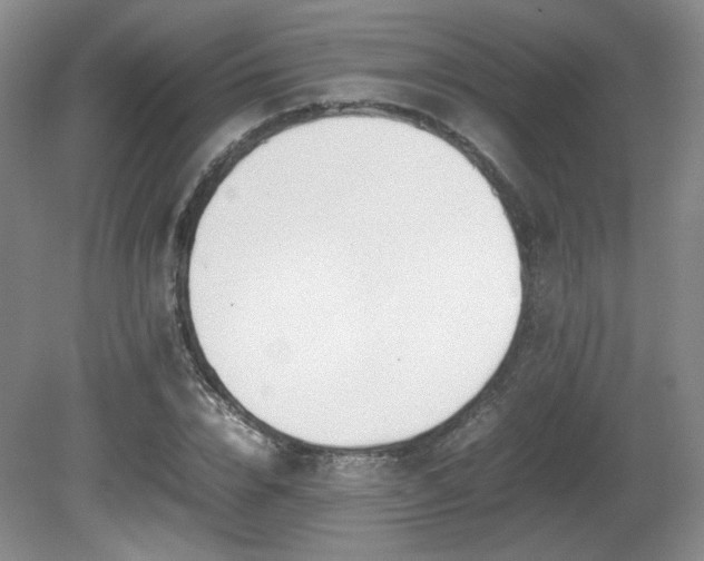X0000080780832200612151426