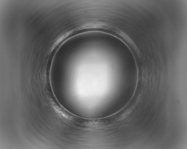 X0000080780834200612151427