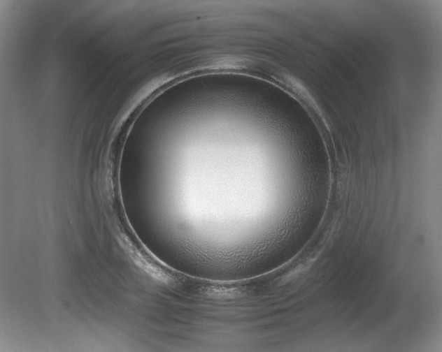 X0000080780835200612151427