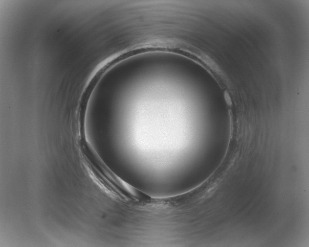 X0000080780838200612151427