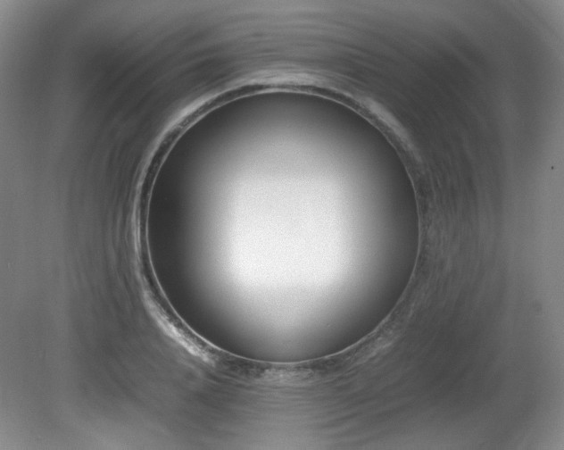 X0000080780840200612151427