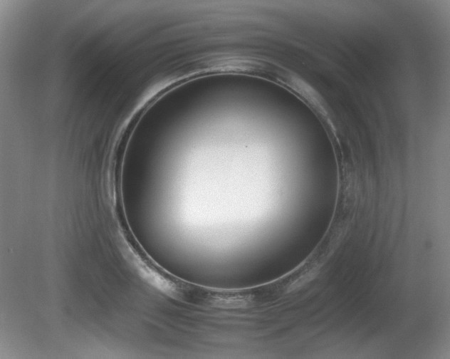 X0000080780843200612151427