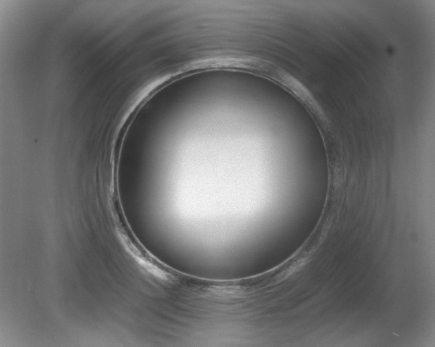 X0000080780844200612151427