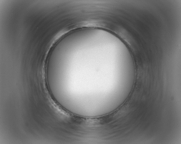 X0000080780848200612151427