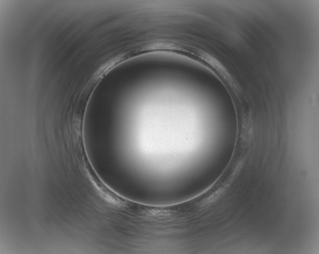 X0000080780849200612151427