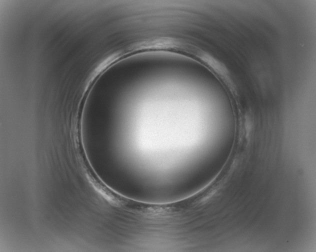 X0000080780850200612151427