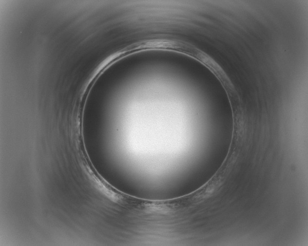 X0000080780852200612151427