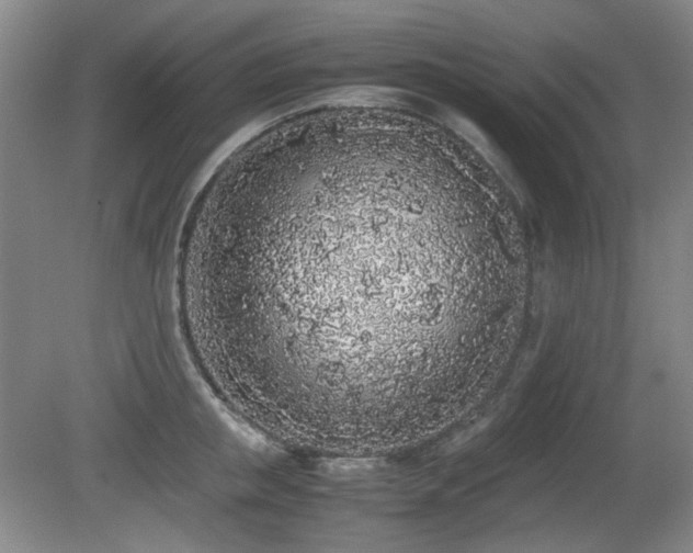 X0000080780853200612151427