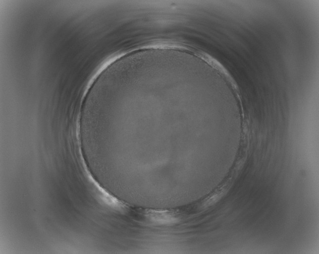 X0000080780855200612151427