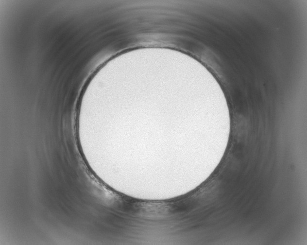 X0000080780856200612151427
