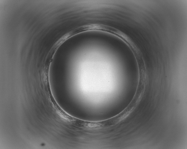 X0000080780857200612151427