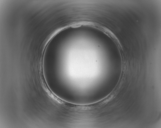 X0000080780860200612151427
