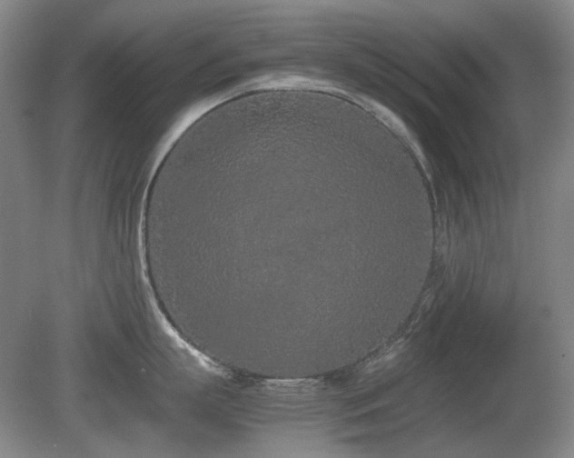 X0000080780863200612151427