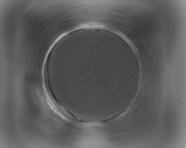 X0000080780864200612151427