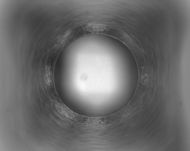 X0000080780866200612151426