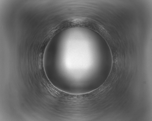 X0000080780868200612151426