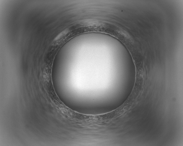 X0000080780869200612151426