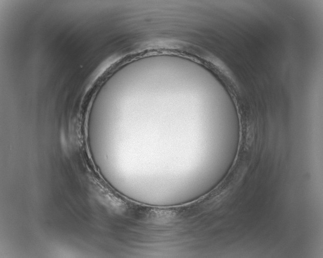 X0000080780878200612151426