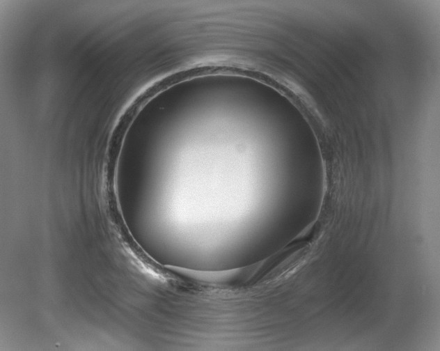 X0000080780880200612151426