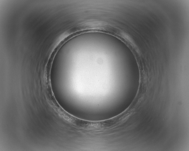 X0000080780883200612151426