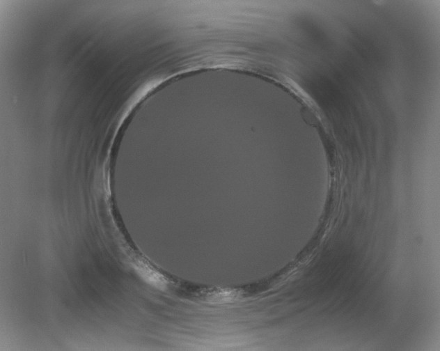 X0000080780891200612151426