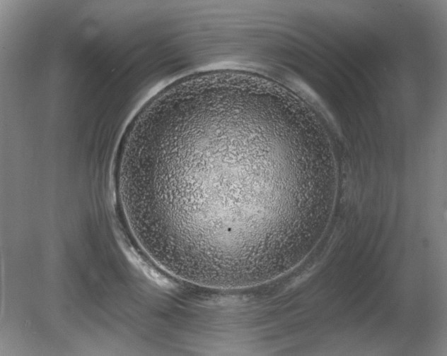 X0000080780892200612151426