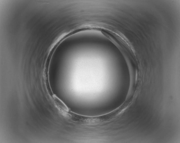 X0000080780893200612151426