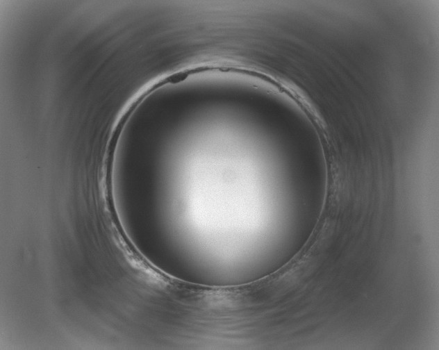 X0000080780904200612151426