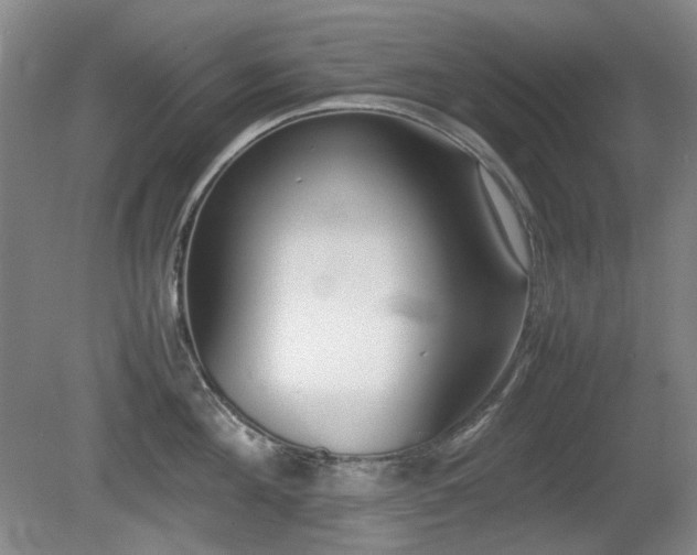 X0000080780908200612151425