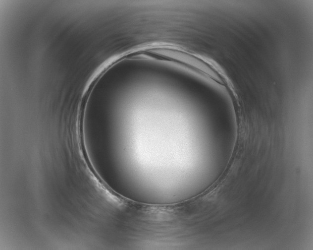 X0000080780910200612151425