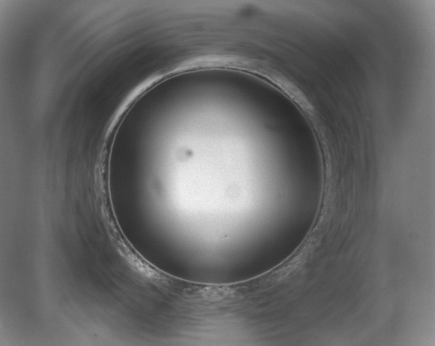 X0000080780912200612151425