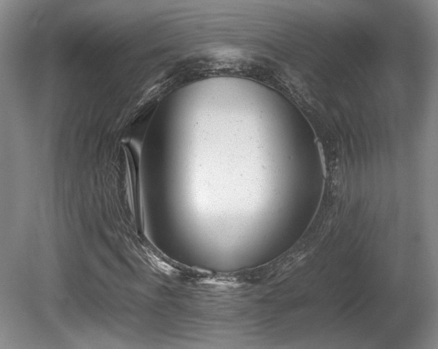 X0000080780916200612151425