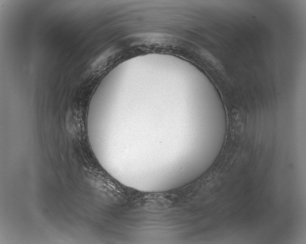 X0000080780918200612151425