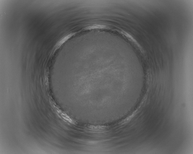 X0000080780921200612151425