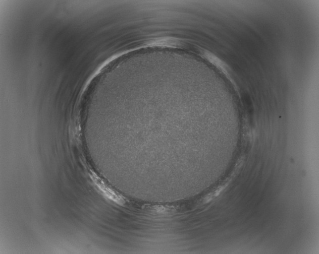 X0000080780923200612151425