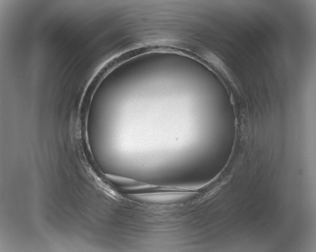 X0000080780924200612151425