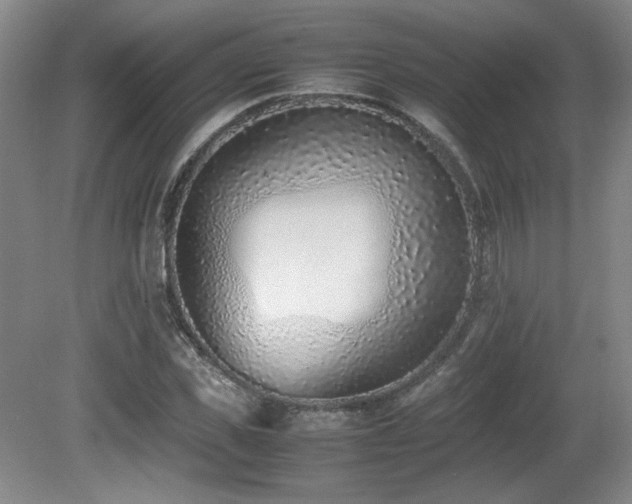 X0000080780925200612151425