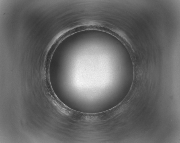 X0000080780927200612151425