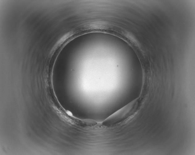 X0000080780930200612151425