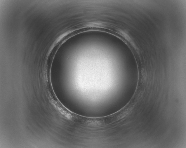 X0000080780931200612151425