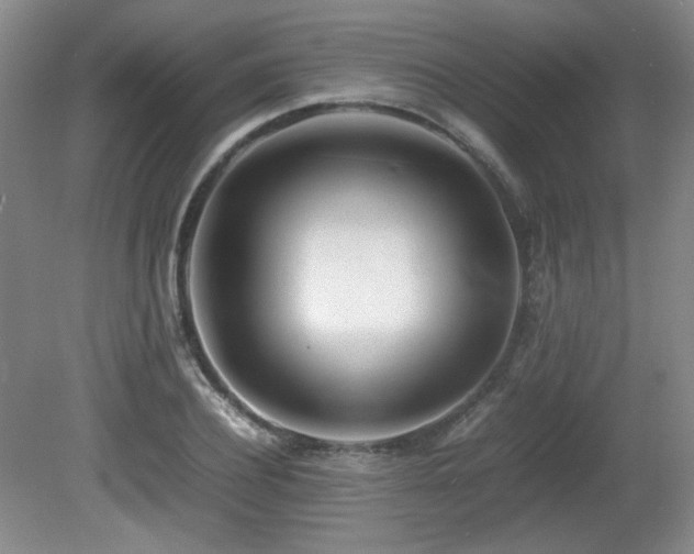 X0000080780932200612151425