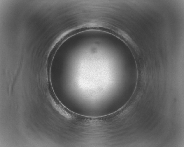 X0000080780934200612151425