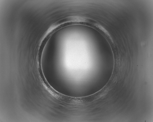 X0000080780935200612151425