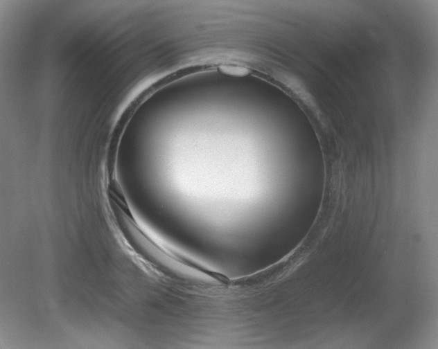 X0000080780936200612151425