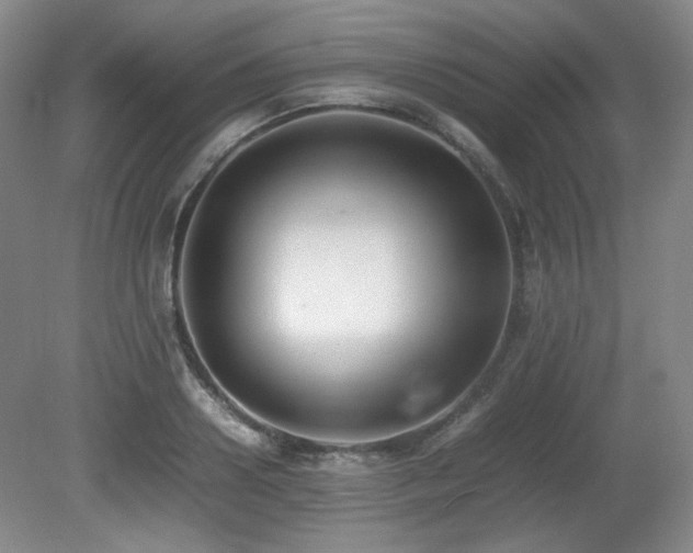 X0000080780938200612151425