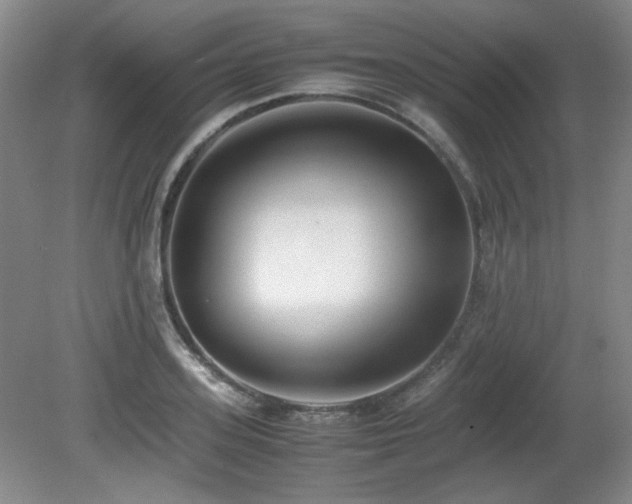 X0000080780939200612151425